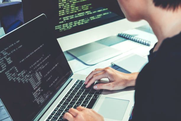 Developing programmer Development Website design and coding technologies working in software company office
